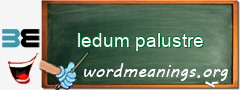 WordMeaning blackboard for ledum palustre